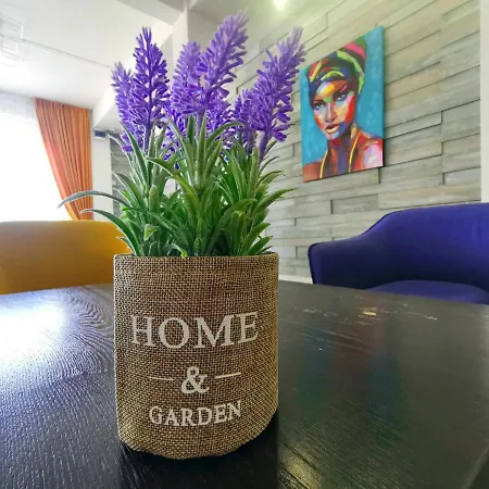 ホテル Victoria ママイア